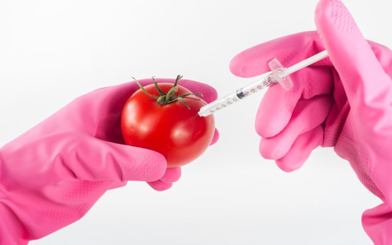 L’affaire des OGM